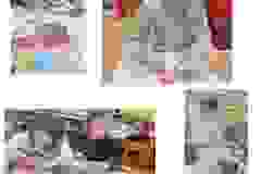 463969116_538807335430750_36415448346638277_n