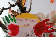 IMG-20211122-WA0001
